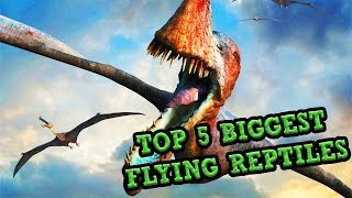 Top 5 BIGGEST FLYING REPTILES!