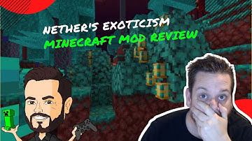 Minecraft mods 1.16.5 Mod Review - Nether