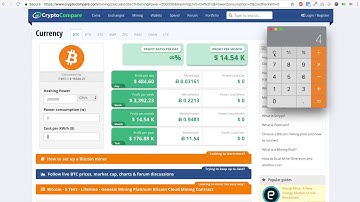 HASHFLARE PROFITABILITY! How To Turn $250 Into $100000 With Hashflare Mining