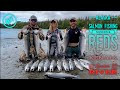 Salmon Fishing Alaska's Kenai and Russian River for Silvers and Reds DIY