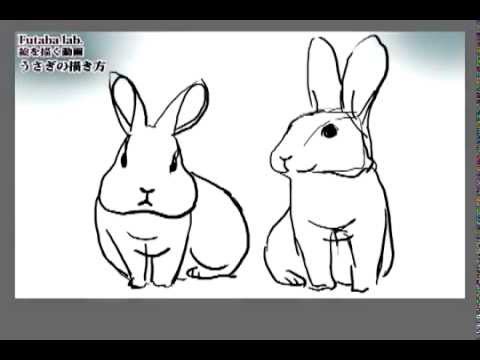 ウサギの描き方 How To Draw A Rabbit Youtube