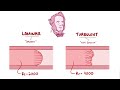 Laminar flow, turbulence, and Reynolds number
