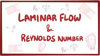 Laminar flow, turbulence, and Reynolds number