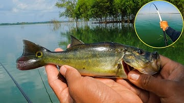 Hồ Trị An - Giăng nắng ngồi câu cá hoàng đế về ăn cho đã thèm ✅