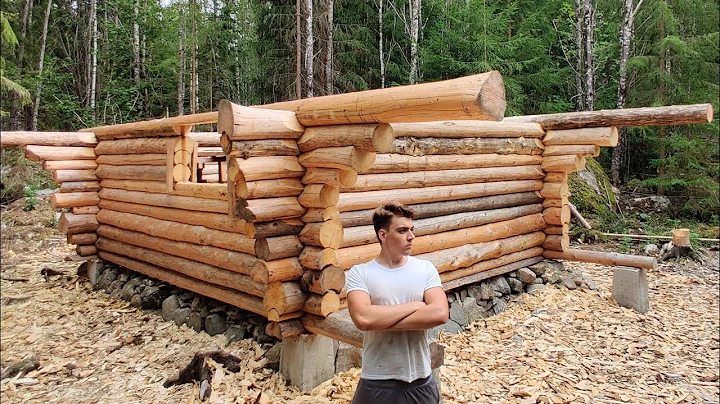One Year Alone in Forest of Sweden | Building Log ...