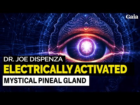 Ways to Access Transcendent Reality via the Pineal Gland | Dr. Joe Dispenza