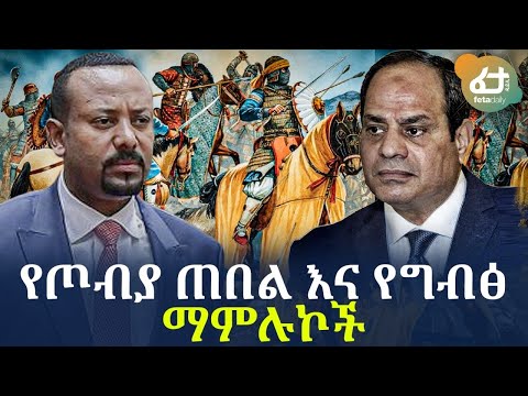 ቪዲዮ: ማምሉኮች እና ገዥዎቹ እነማን ነበሩ?