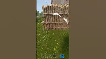 the site of launch #rust