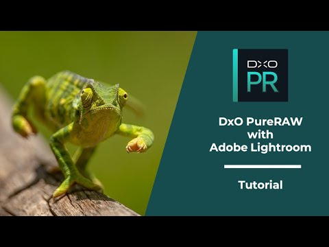 DxO PureRaw with Adobe Lightroom⎢Tutorial