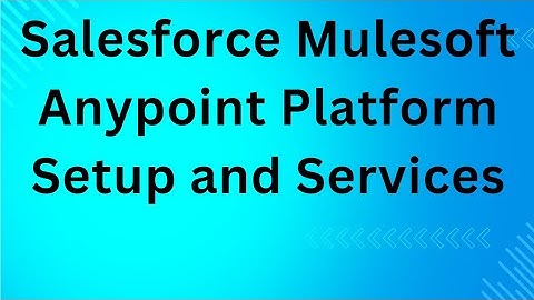 Salesforce Mulesoft Anypoint Platform Setup and Services