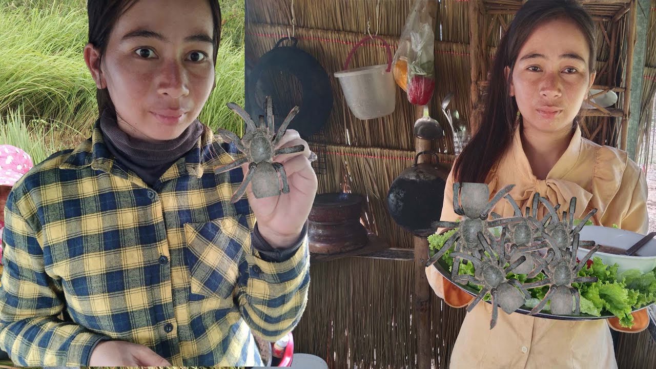 Different recipes for cooking spiders with best unique technique