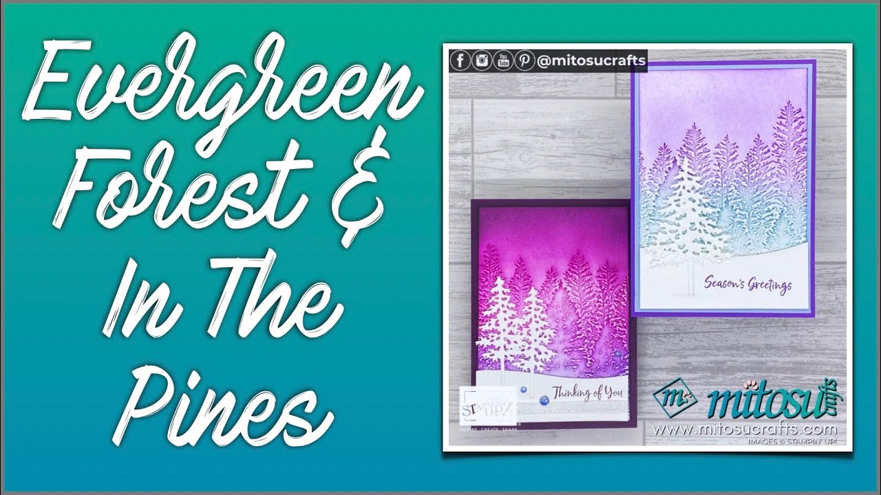 NEW Mini Catalogue August-December 2020 | Evergreen Forest, In The Pines Stamp & Pine Woods Dies
