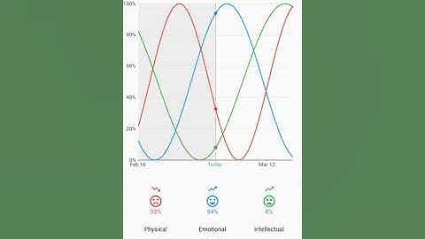 Biorhythms application video in English