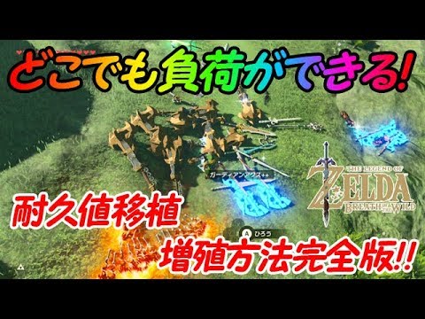 2 ゼルダの伝説 どこでも負荷が作れる 耐久値移植 増殖方法完全版 ブレスオブザワイルド Botw Youtube