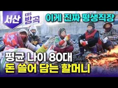 [충남 서산] "바닥에 널린 게 돈!" 손톱 빠지게 추워도 70년째 한겨울 바다 나가는 할머니｜보자기 하나 가득 바리바리 싸주고도 아쉬운 엄마｜간월도｜#한국기행 #방방곡곡