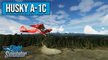 Review: Asobo Aviat Husky A-1C | Microsoft Flight Simulator (MSFS 2020)