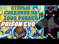 Открыл кейсов на 1000 РУБЛЕЙ на PrisonEVO DiamondWorld ПризонЭво