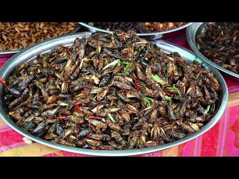 8 ყველაზე უცნაური საჭმელი