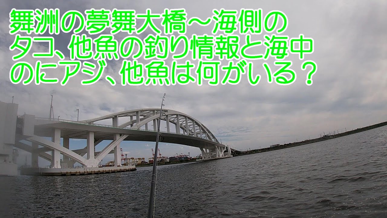舞洲で夜釣りでアジ釣れ出す 昼は何が釣れる タコは Youtube 舞洲で夜釣りでアジ釣れ出す 昼は何が釣れる タコは Youtube