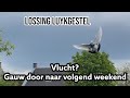 Vlucht  gauw door naar volgend weekend  postduiven 