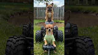 The Ultimate Mud Bath Prank #rcadventure #dogsoftiktok #mudbath #viralpets #dogcomedy #backyardfun
