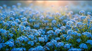 Still Bloom — Blue Serenity 💙 A Quiet Piano Garden for Deep Rest, Reflection & Peace