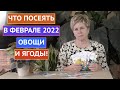 СЕЗОН 2022: ЧТО ПОСЕЯТЬ В ФЕВРАЛЕ? ОВОЩИ И ЯГОДЫ!