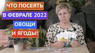 СЕЗОН 2022: ЧТО ПОСЕЯТЬ В ФЕВРАЛЕ? ОВОЩИ И ЯГОДЫ!