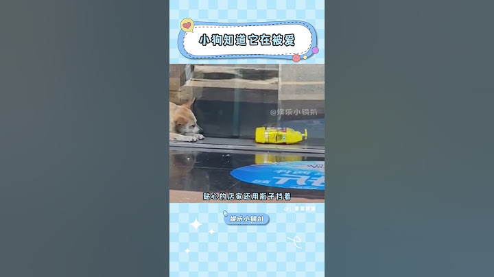 小狗怎么會不開心呢，它知道有人在愛它#狗狗 #治愈  #善良  #感動  #動物