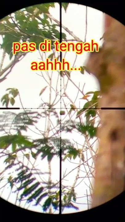 pass tengahh, crooot,, ahhh...