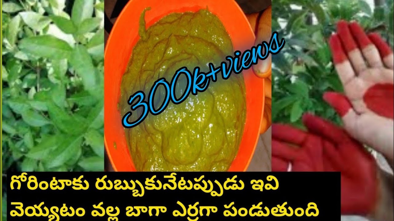 gorintaaku erraga pandalante/gorintaku erraga pandalante vitini kalapandi/gorintakutip/