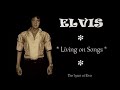 ELVIS - 