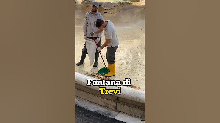 HOW MUCH MONEY IS IN THE TREVI FOUNTAIN?