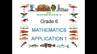 Grade 6 Mathematics Application Test 1