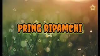 Pring ripamchi (New year song) By Rakseng Sangma