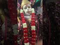 MangalaMangal Murti Ram Dulare Anpadh Anpadh