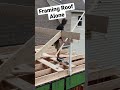 Framing Addition Roof Alone!