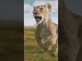 Mufasa: Il Re Leone | Al Cinema