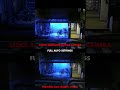 Stock Camera App (rec.709) VS. Motion Cam (DNG 10 bit raw) Mobile Filmmaking