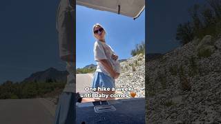 One hike a week until baby comes 🤎
