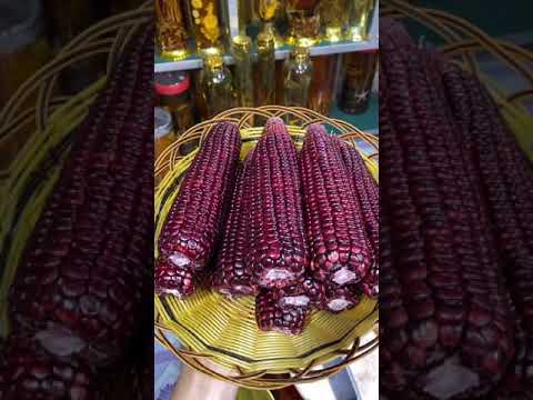 Video Cách Ngâm Rượu Ngô Nếp Tím - youtube
