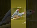 اجمل طفرات الجاوا