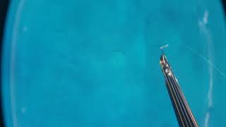 B Daniel Double Invert Roller soft setup 2