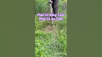 Phát Cỏ Bằng Cước - Máy Phát Cỏ Balô - @AnhCắtCỏ #anhcatco  #maycatco #máycắtcỏ