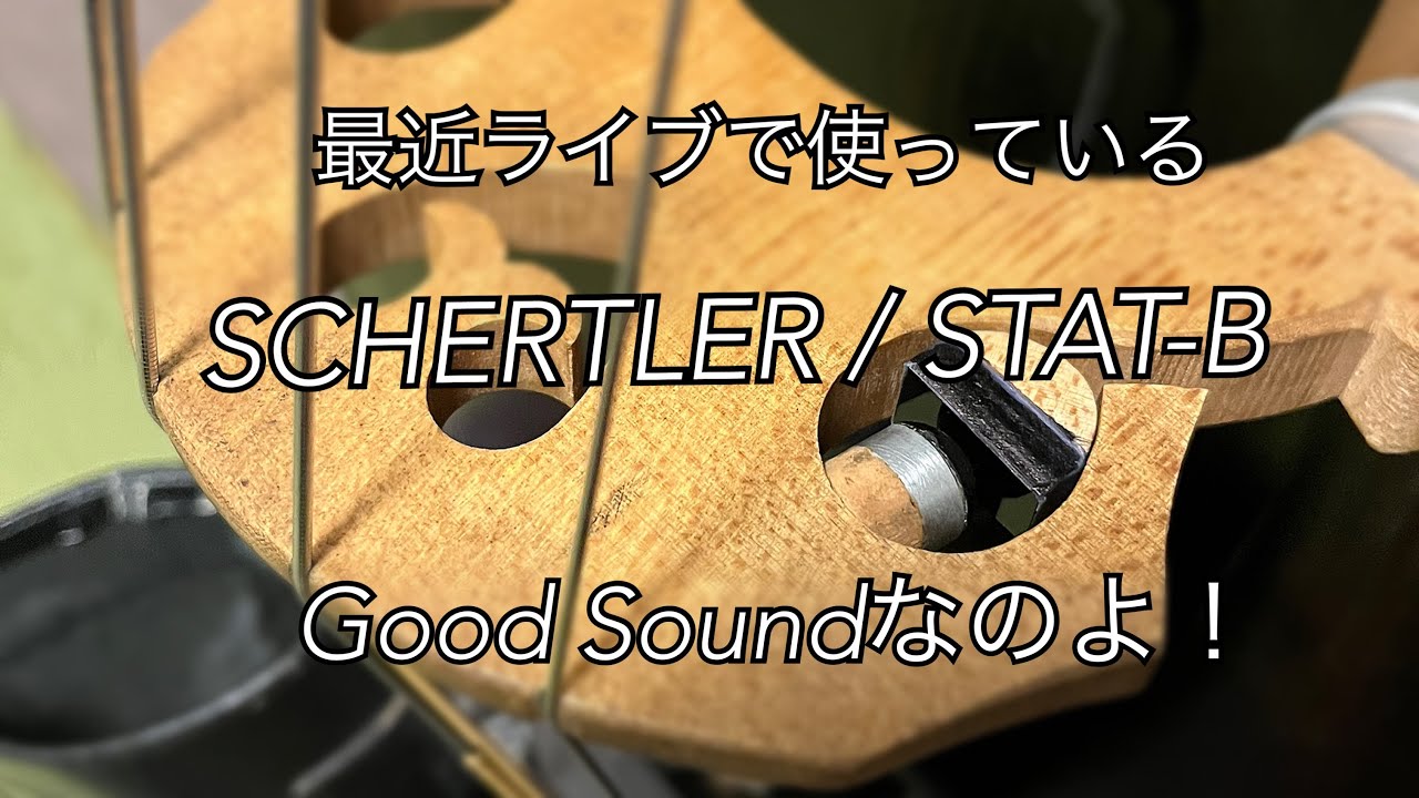 ウッドベースのピックアップSCHERTLER / STAT-Bの実際のライブサウンド