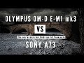 Olympus O-MD E-M1 Mark III vs Sony A73: Why MFT in a Full Frame World?