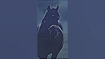 انا العنيد الذي فكره يروم العناد ان حطت العنجهيه قدمي رحالها كسبلور كسبلور فولو Fyp Photo Ps4 