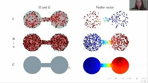 MDLW01 | Franca Hoffmann | Using Continuum Limits To Understand Data Clustering And Classification