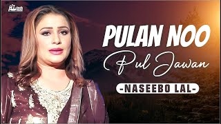 Pulan Noo Pul Jawan | Naseebo Lal | Best Hit | Hi-Tech Music