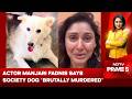 Actor Manjari Fadnis Says Society Dog Brutally Murdered In Mumbai